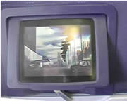 �G�R�m�~�[�N���X�����Ă�p�[�\�i���e���r